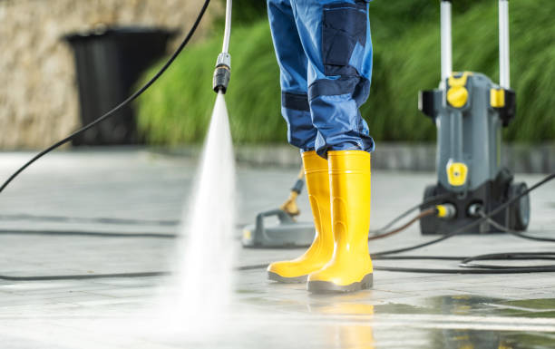 Best House Pressure Washing  in Milmay, NJ